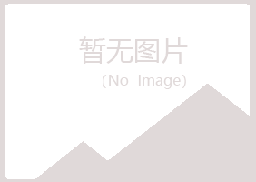 汕头潮阳冰夏采矿有限公司